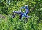 521H1899 mc-flevoland-gr-1 30--05-2021